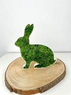 3D gedruckter Hase mit Moos