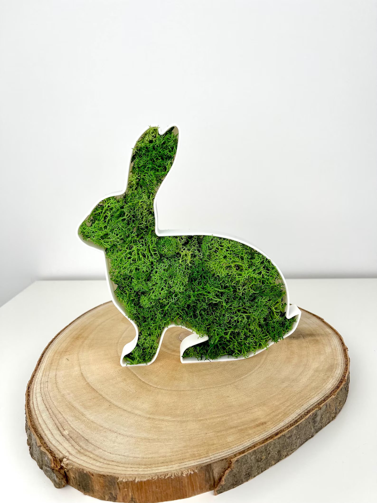 3D gedruckter Hase mit Moos