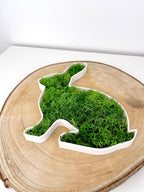 3D gedruckter Hase mit Moos