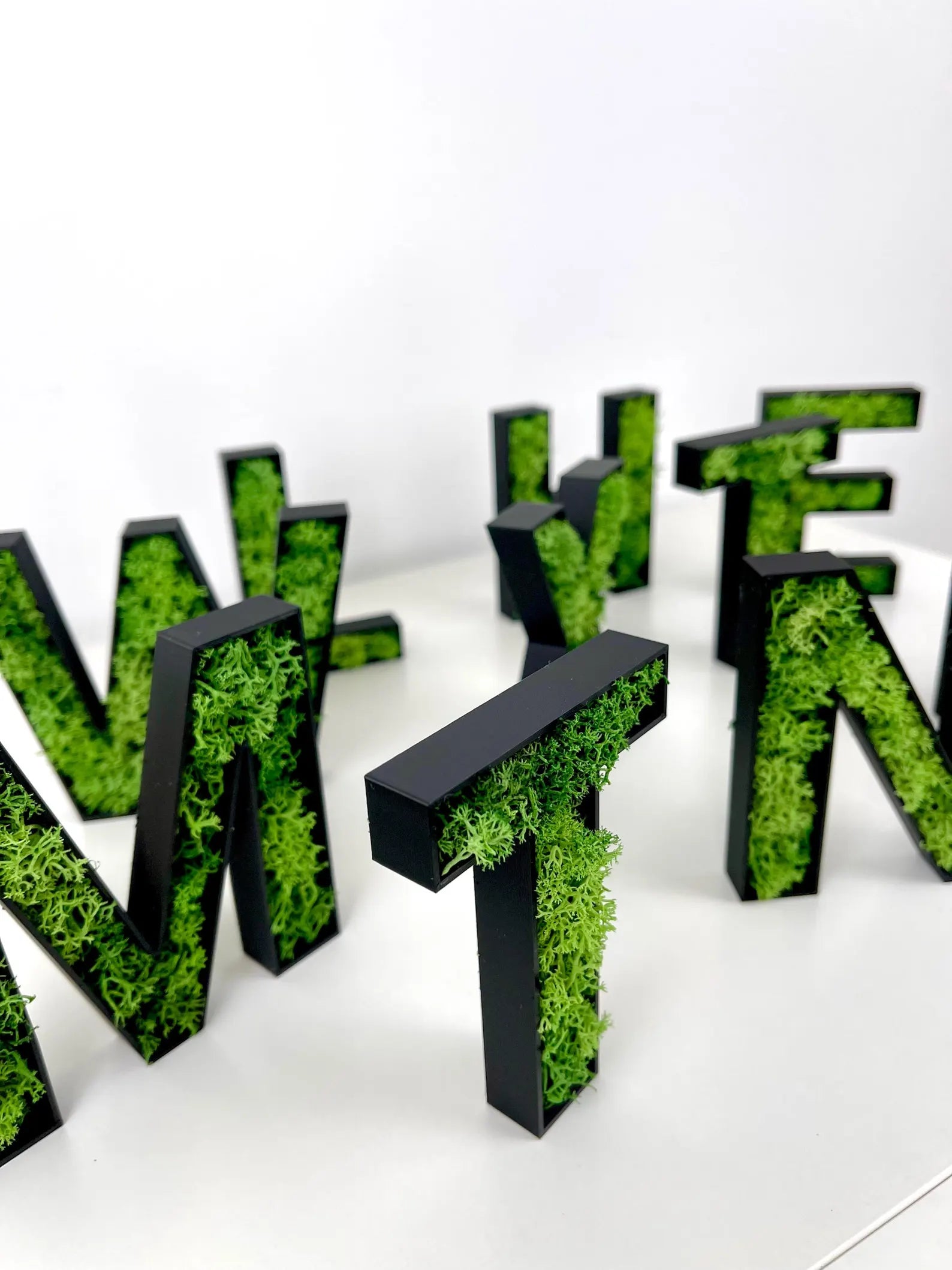 3D Moos Schriftzug „Welcome“ – natürlicher Hingucker für deinen Eingangsbereich