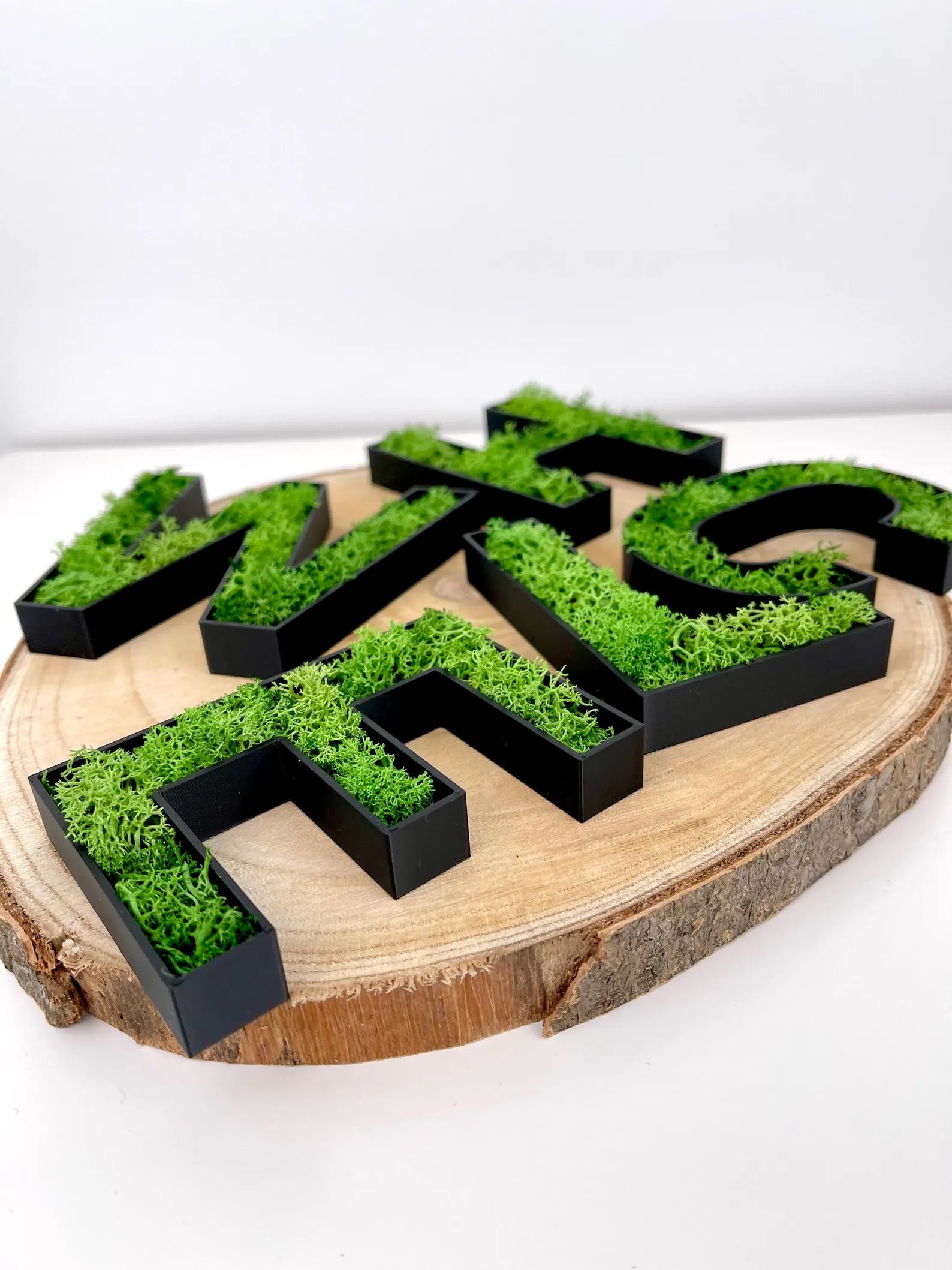 3D Moos Schriftzug „Welcome“ – natürlicher Hingucker für deinen Eingangsbereich