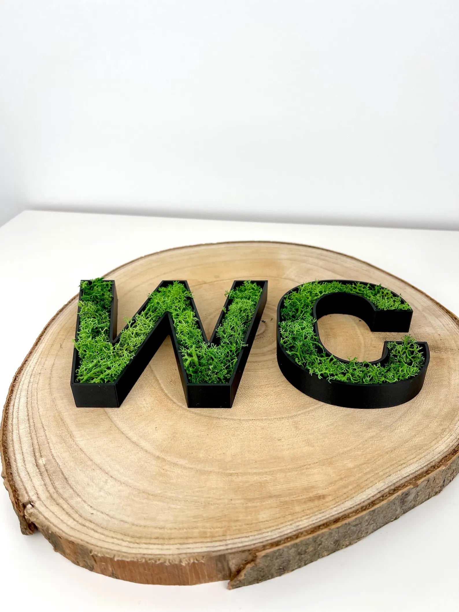 WC Schild mit Moos – 3D Türbeschriftung mit echtem Islandmoos