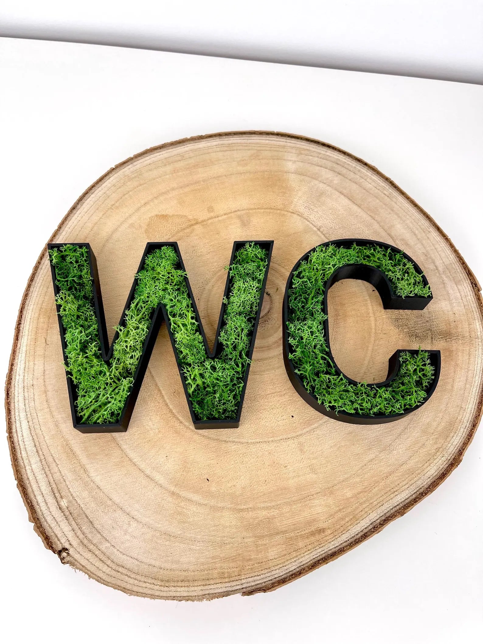 WC Schild mit Moos – 3D Türbeschriftung mit echtem Islandmoos