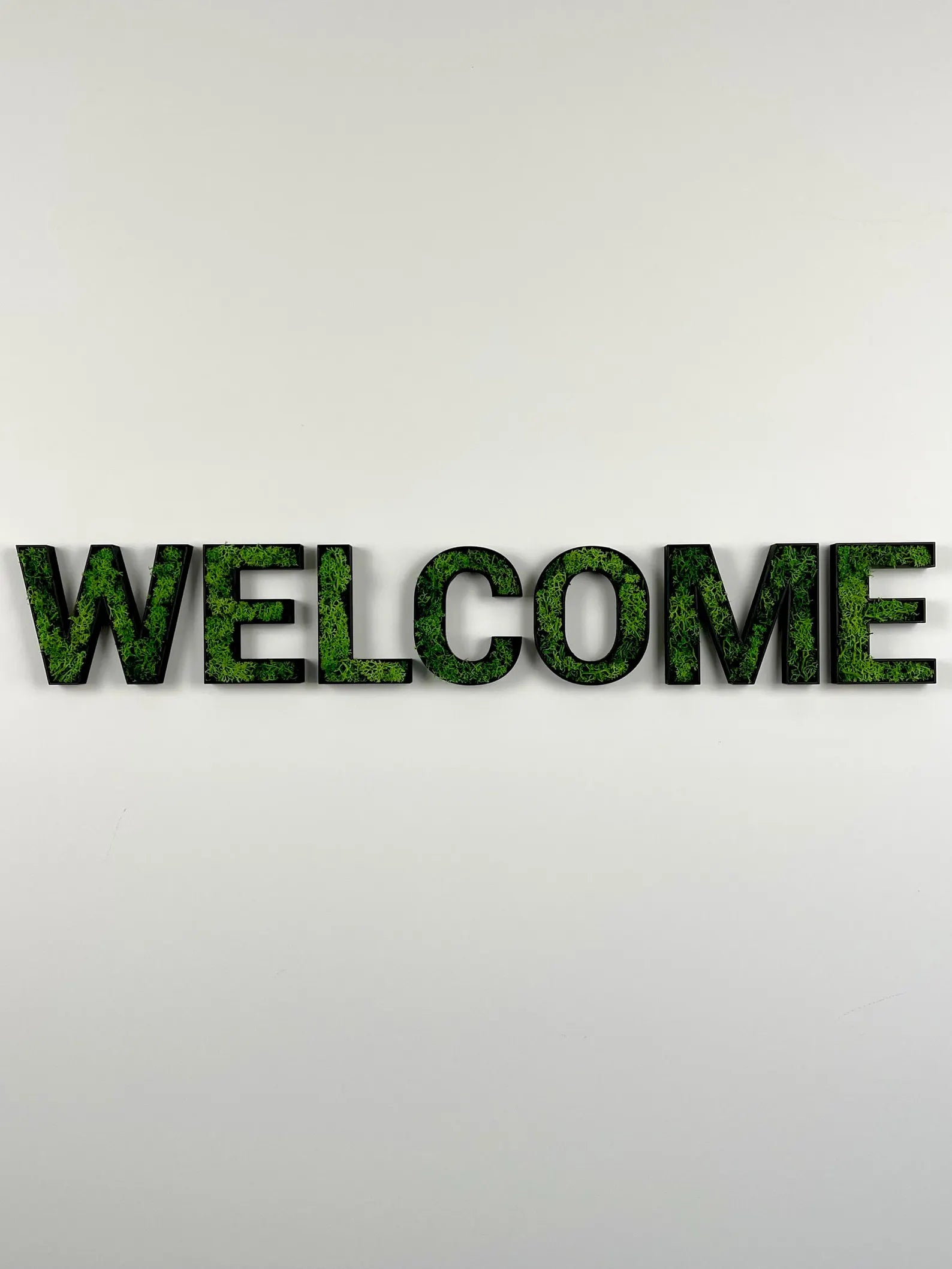 3D Moos Schriftzug „Welcome“ – natürlicher Hingucker für deinen Eingangsbereich