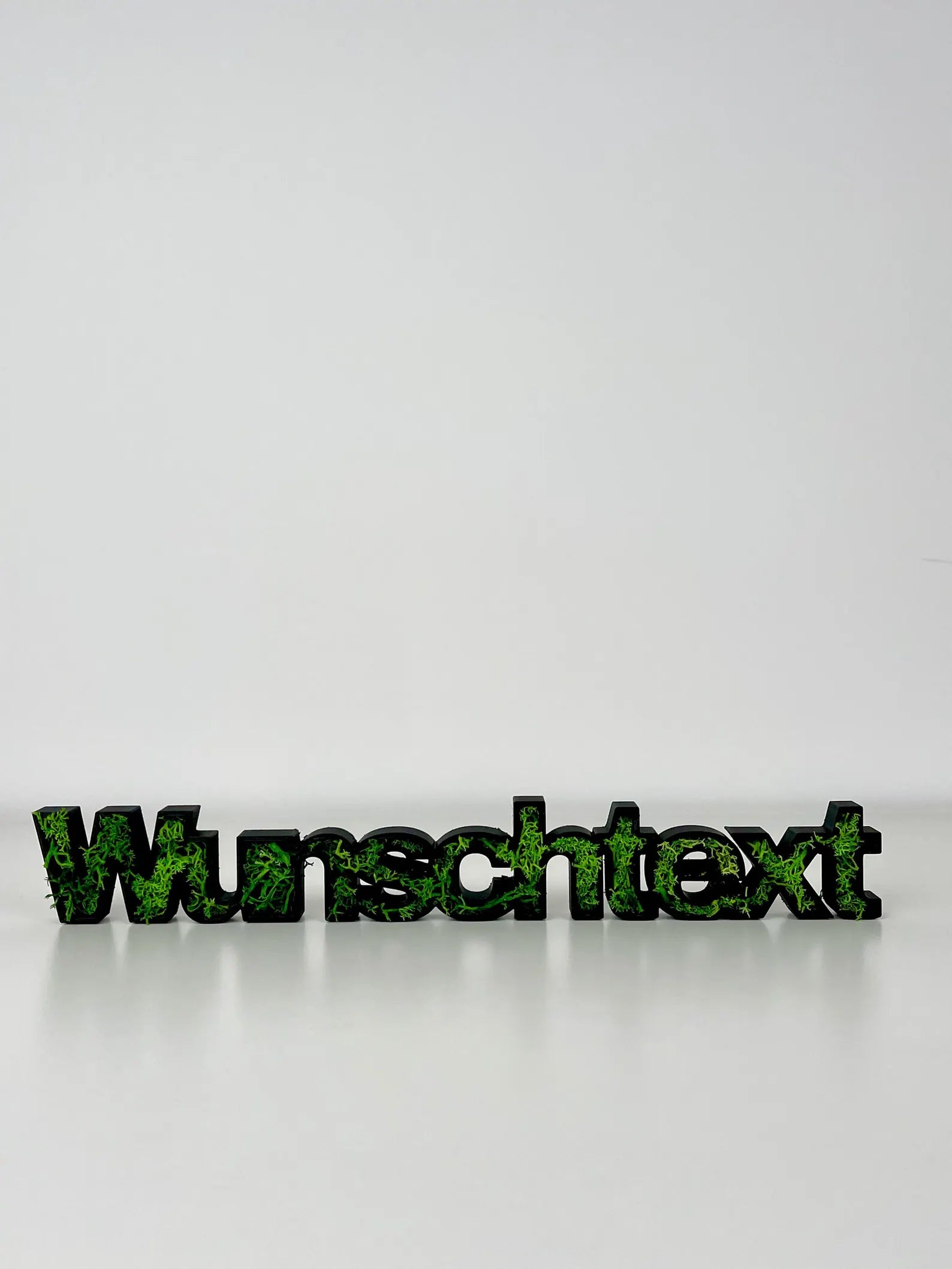 3D Schriftzug personalisiert mit Moos